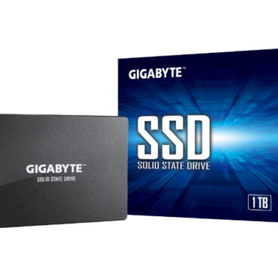 כונן פנימי GIGAGYTE GP-GSTFS31100TNTD SSD 1TB
