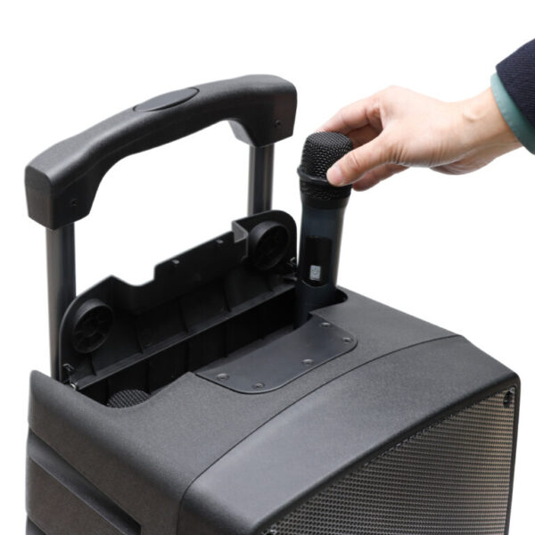 מערכת הגברה ניידת 2 מיקרופונים TSUNAMI-12 איווה AIWA