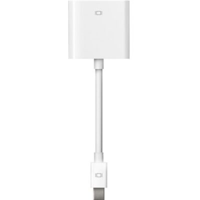 Mini DisplayPort to DVI AdapterINT